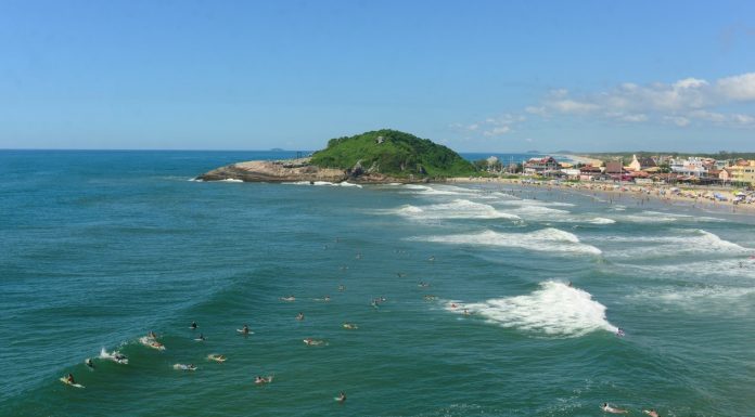 Educação, engajamento e parcerias pela conservação dos mares