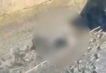 VIDEO Corpo de homem é encontrado em vala em Florianópolis