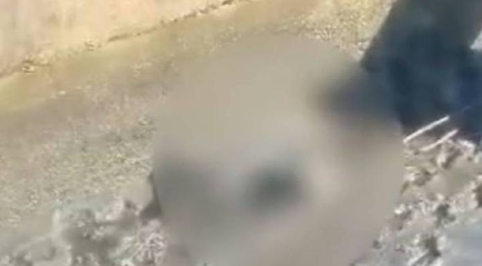 VIDEO Corpo de homem é encontrado em vala em Florianópolis