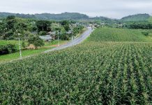 Turismo de Piçarras abre Edital para interessados em participar do projeto de criação do Roteiro Agroturístico