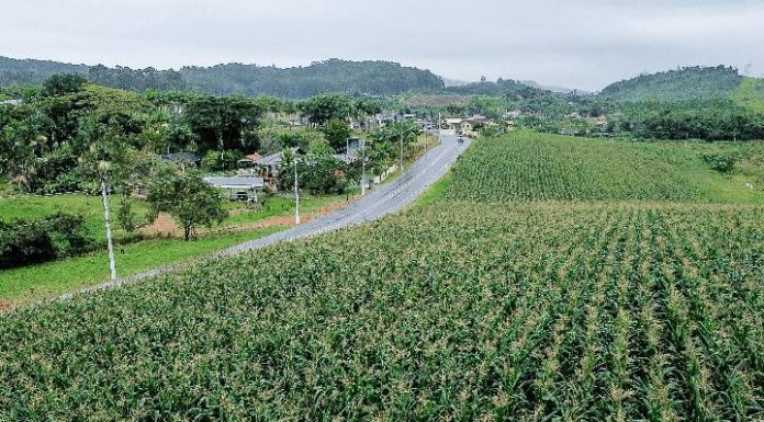 Turismo de Piçarras abre Edital para interessados em participar do projeto de criação do Roteiro Agroturístico
