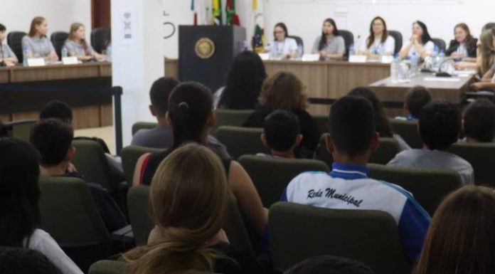 Câmara Mirim amplia debate sobre Saúde Mental na Escola