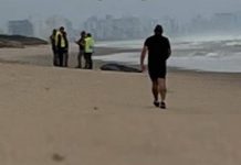 Corpo é encontrado na praia de Navegantes na manhã deste sábado (20)