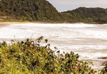 Ação de limpeza na Praia Grande acontece neste sábado, 20