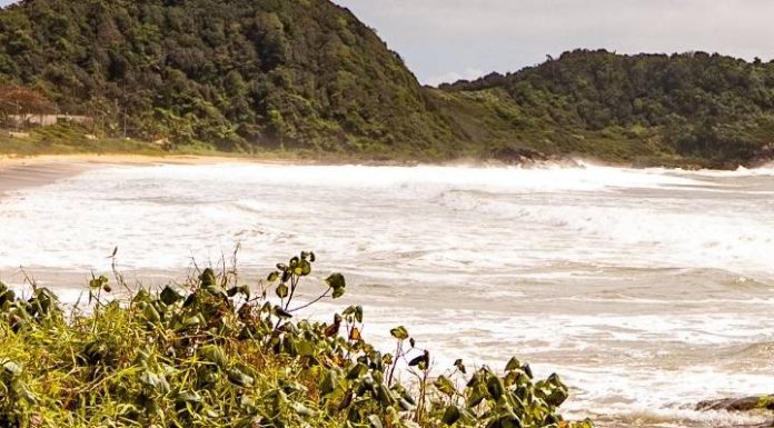 Ação de limpeza na Praia Grande acontece neste sábado, 20
