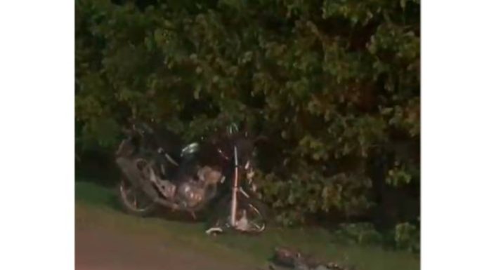 VIDEO Capivara atravessa pista e causa acidente com motociclista na Transbeto