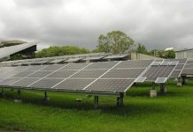 Sicoob firma parceria com o Banco Interamericano de Desenvolvimento para ampliar portfólio de crédito sustentável