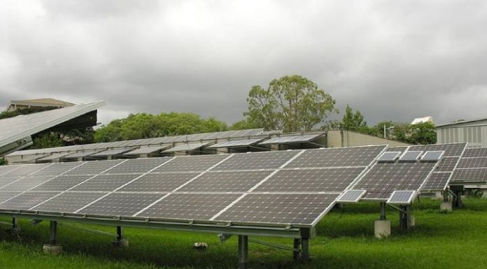 Sicoob firma parceria com o Banco Interamericano de Desenvolvimento para ampliar portfólio de crédito sustentável