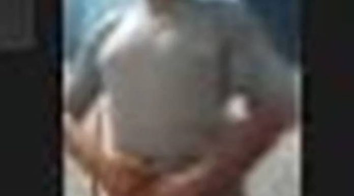 VIDEO Homem mostra o pênis em audiência virtual