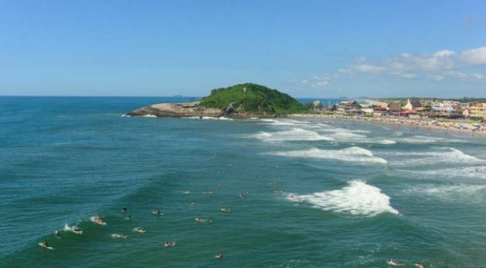 Educação, engajamento e parcerias pela conservação dos mares
