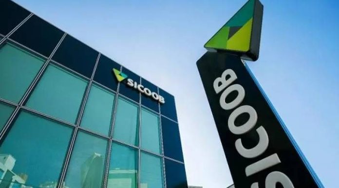 Com foco em educação financeira e segurança digital, Sicoob participa da Semana Mundial do Investidor 2025