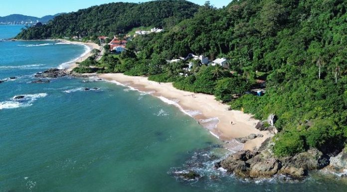 Atuação da Águas de Penha reforça compromisso com a preservação marinha e auxilia na conquista do selo Bandeira Azul