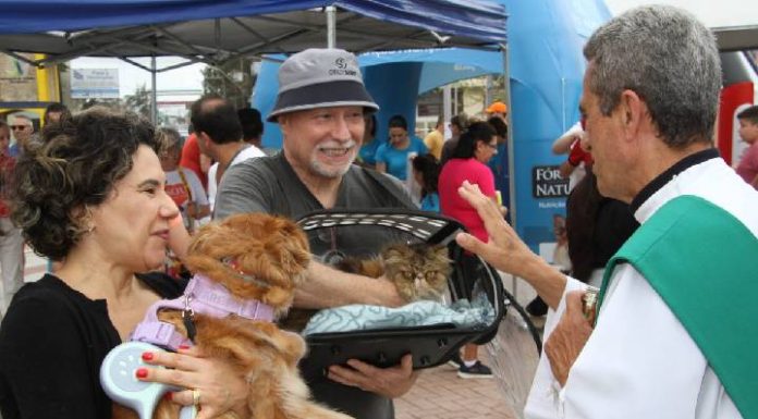 Mais de 120 animais com seus tutores se reuniram no Gravatá