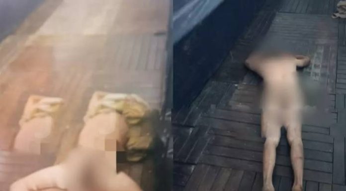 ‘Peladão’ chegou antecipado na Festa do Camarão em Porto Belo mas foi contido pela PMSC