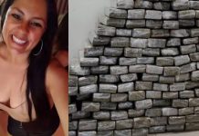 CONEXÃO Diretora do Bem Estar Animal de Navegantes é presa trazendo 135 kg de drogas para Penha