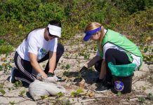 Mutirão da Nauterra coleta mais de 150 kg de resíduos e planta 36 mudas nativas na Praia do Molhe