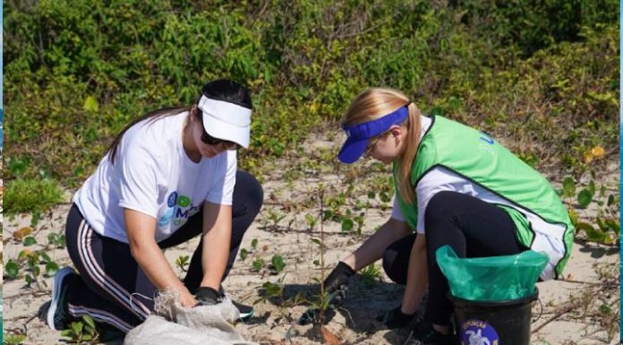 Mutirão da Nauterra coleta mais de 150 kg de resíduos e planta 36 mudas nativas na Praia do Molhe