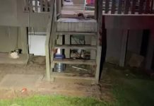 Dois jovens são presos suspeitos de matar o pai a golpes de facão em SC