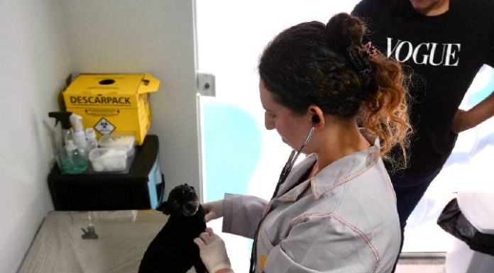 Casa Pet de Piçarras terá vacinas disponíveis a partir de terça-feira (21)