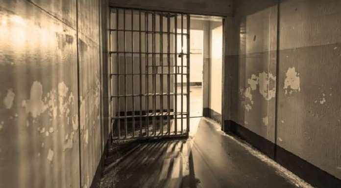 Pai é preso em Itajaí por abusar dos filhos e engravidar a própria filha
