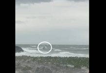 VIDEO Onda provocada por vento forte acerta lancha e arremessa homem ao mar em Barra do Sul