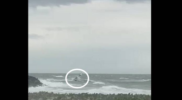 VIDEO Onda provocada por vento forte acerta lancha e arremessa homem ao mar em Barra do Sul
