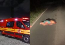 Homem é encontrado morto com corpo dilacerado entre Navegantes e Luiz Alves