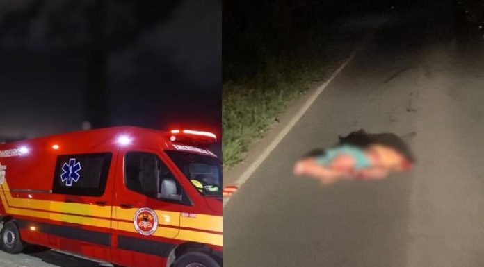 Homem é encontrado morto com corpo dilacerado entre Navegantes e Luiz Alves