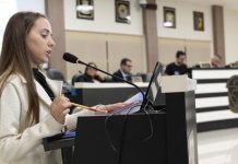 Audiência debate de pautas cruciais sobre crianças e adolescentes com TEA