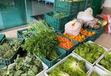 SC tem a maior proporção de domicílios com Segurança Alimentar do país