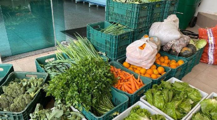 SC tem a maior proporção de domicílios com Segurança Alimentar do país