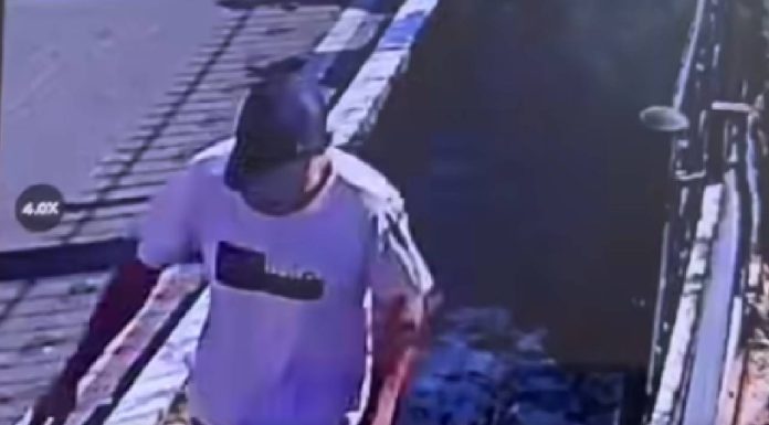 VIDEO Rapaz arromba veículo na Rua Nakle Francisco em Piçarras e leva 3 celulares