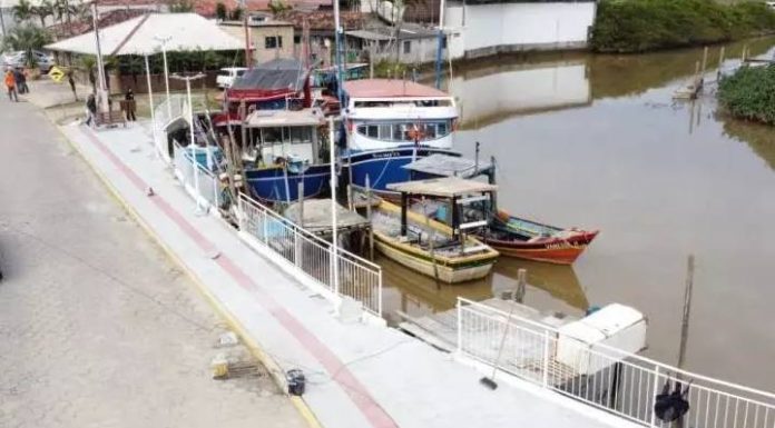 Idoso é brutalmente espancado após menina de 11 anos fazer grave acusação em Porto Belo