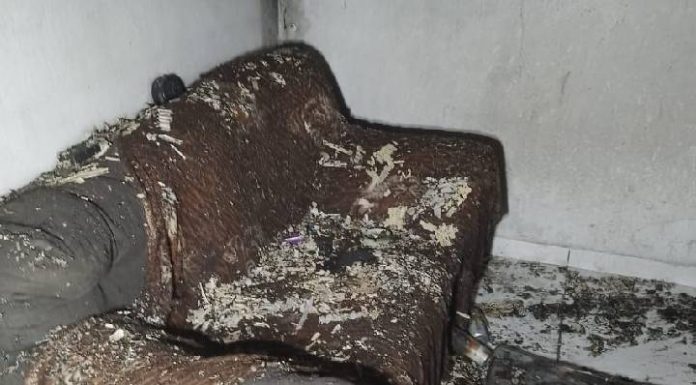 Incêndio danifica eletrodomésticos, móveis e estrutura de residência em Penha
