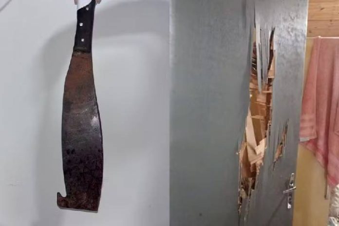 Novo Projeto - 2025-11-02T152225.196