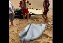 VIDEO Corpo que estava desaparecido aparece boiando na Praia de Ilhota em Itapema