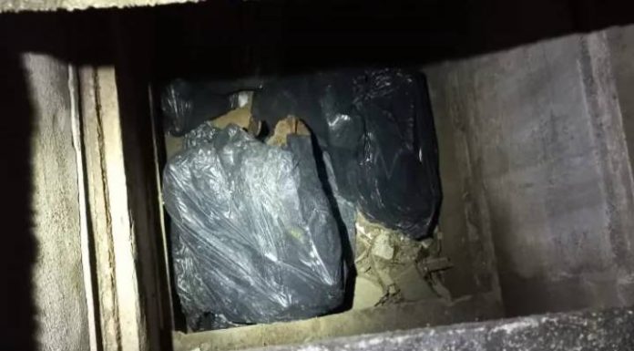 ‘Ritual de magia’: homem é flagrado com crânio humano dentro da mochila em SC