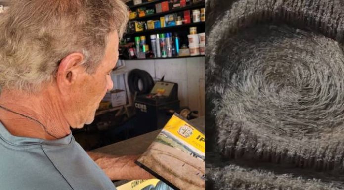 VIDEO Agroglifo reaparece em SC e morador relembra encontro com ‘luz viva’ em 1982