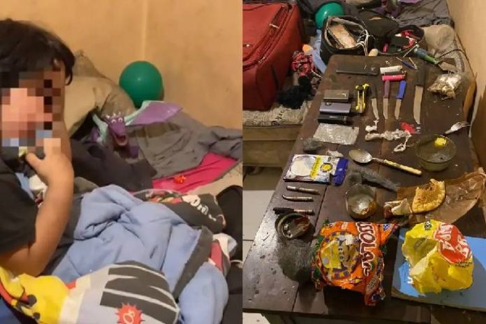 Novo Projeto - 2025-11-05T143347.920