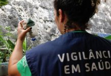 Mais de 180 municípios catarinenses estão infestados pelo Aedes aegypti