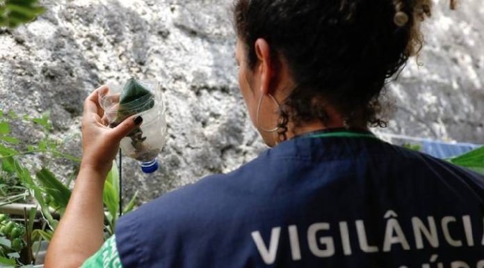 Mais de 180 municípios catarinenses estão infestados pelo Aedes aegypti