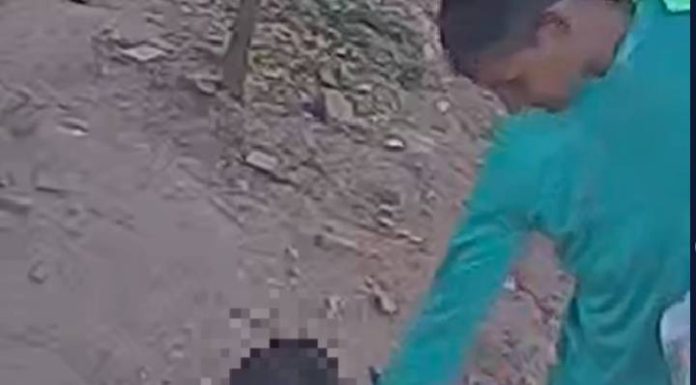 VIDEO Homem é preso após tocar nos seios de menina de 5 anos
