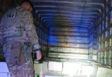 VIDEO PRF apreende 5 toneladas de camarão contrabandeado que vinham para Itajai
