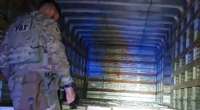 VIDEO PRF apreende 5 toneladas de camarão contrabandeado que vinham para Itajai