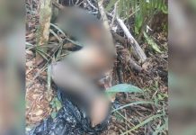Corpo amarrado e com objeto inserido no ânus é encontrado pela polícia