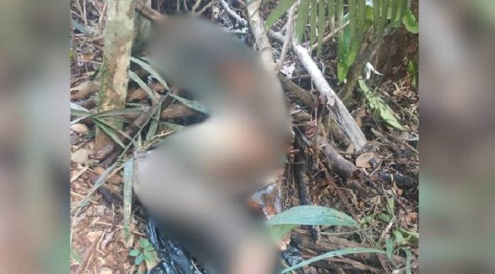 Corpo amarrado e com objeto inserido no ânus é encontrado pela polícia
