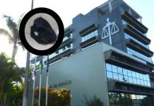 Calcinha usada é encontrada em sala que guarda arquivos sigilosos no Fórum