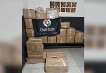 Homem é preso com 740 quilos de maconha em Balneário Piçarras