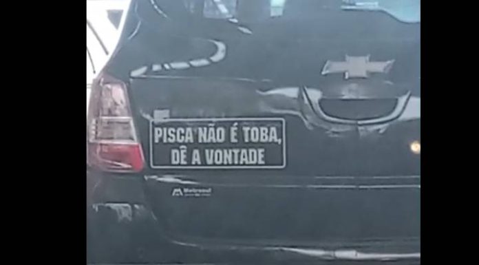 “PISCA NÃO É TOBA, DÊ A VONTADE” Vídeo mostra mensagem curiosa na traseira de veículo em Penha