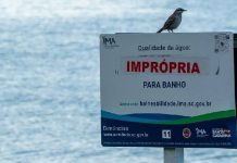 73,95% das praias estão próprias em SC; confira a lista de pontos impróprios para banho